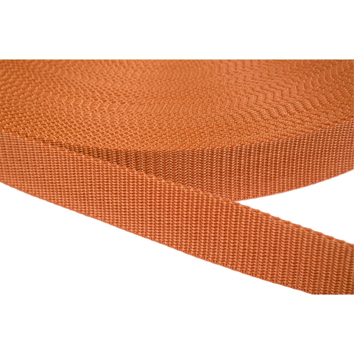 gurtband-25mm-breit-aus-polypropylen-in-41-farben-05--ockerbraun-6-meter